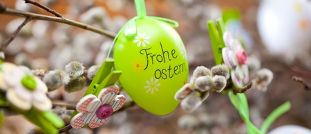 Easter Pussy-willow and  Easter egg on  wooden background. Happy Easter card. with Happy Easter text in german.の写真素材