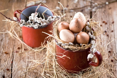 Willow branches and quail eggs on a wooden background.の写真素材