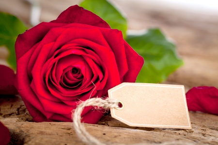 Roses and a hearts on wooden board, Valentines Day background, with German TEXT VALENTINS DAYの写真素材