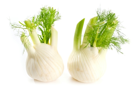 Fennel Bulb. Single fresh fennel bulb with leaves on white backgroundの写真素材