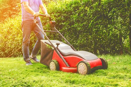 Summer and spring season sunny lawn mowing in the gardenの写真素材