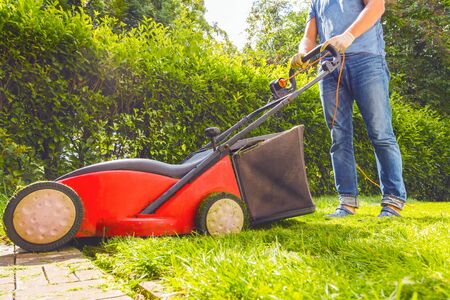 Summer and spring season sunny lawn mowing in the gardenの写真素材