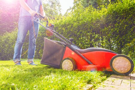 Summer and spring season sunny lawn mowing in the gardenの写真素材