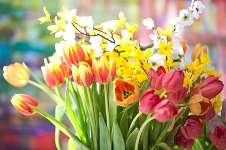 Easter background. Colorful spring tulips on vintage wooden boardの写真素材