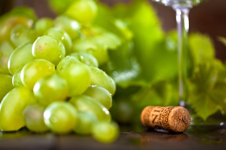 wine grapes on wooden background with wine corkの写真素材