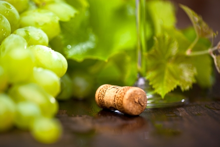 wine grapes on wooden background with wine corkの写真素材