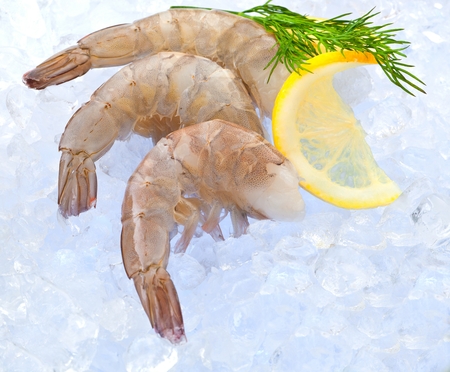 Closeup photo of large size of frozen raw shrimp with tail removedの写真素材