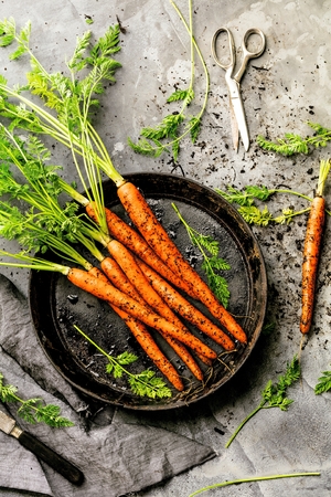 Bunch of fresh carrots with green leaves over beton background. Vegetable. Foodの写真素材