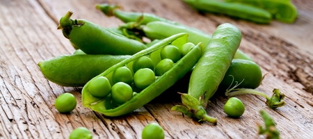 hearthy fresh green peas and pods on rustic wooden backgroundの写真素材