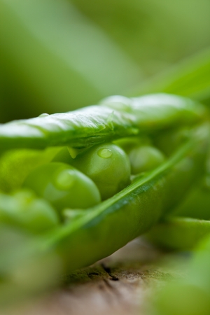 hearthy fresh green peas and pods on rustic wooden backgroundの写真素材