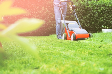 Lawn mower mower grass equipment mowing gardener care work tool.