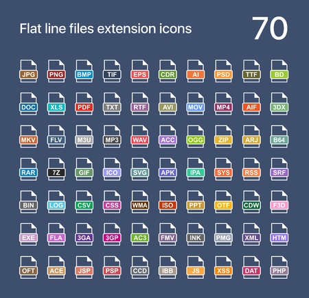 File extension flat vector icons. Sound, graphic, archive, picture, document, internet and system extensionsのイラスト素材