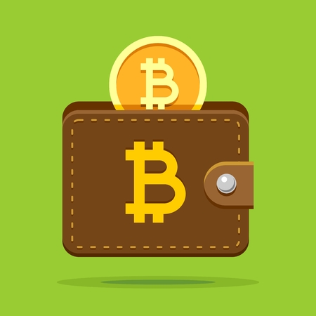 Bitcoin crypto wallet from brown leather and coin inside. Vector colored flat illustration of digital conceptual currencyのイラスト素材