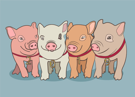 Vector illustration, Happy New Year 2019 funny card design with cartoon pigs face. Cute piggieのイラスト素材