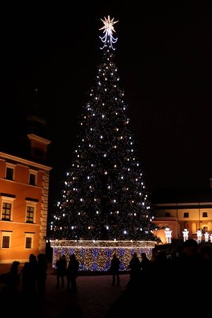 Lit up Christmas tree in Old Town Castle Square in Warsaw, Poland.のeditorial素材