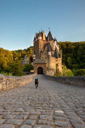 Black dog running on the bridge of Burg Eltz, a castle in Germany.