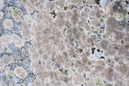 Close up of a old stone texture background 