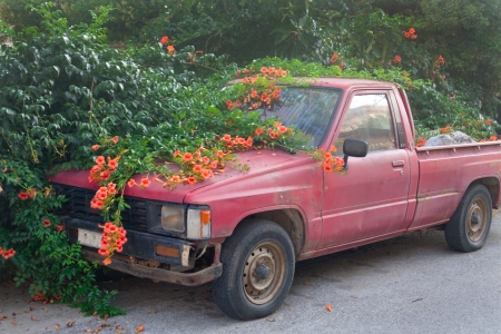 Old abandoned red car  Overgrown with orange flowers の写真素材