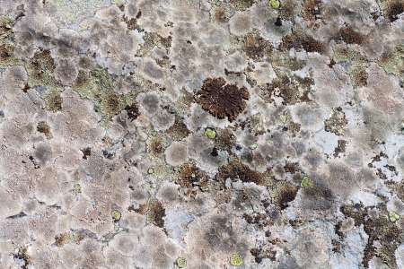 Close up of a old stone texture background の写真素材
