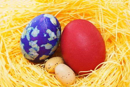 Colorful easter eggs in the yellow nest  Close up view の写真素材