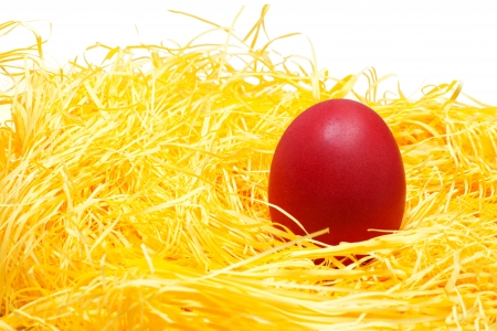 Red easter egg in the yellow nest  Close up view  White background の写真素材