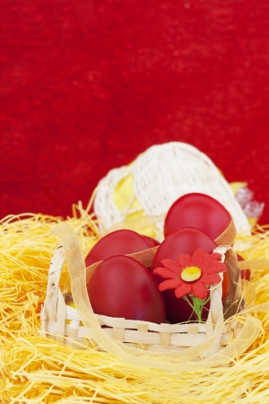 Red easter eggs in a basket, on red backgroundの写真素材