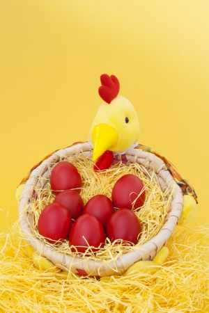 Red easter eggs in a basket, on yellow backgroundの写真素材