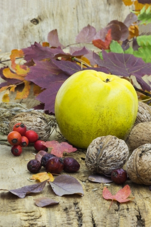 Ripe quince is on an old wooden table  Autumn composition の写真素材