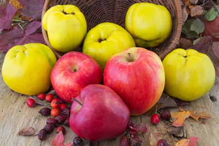 Autumn composition of apples, quince, and dry branches on wooden table の写真素材