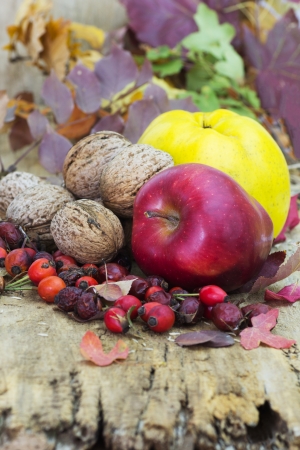 Ripe quince and apples on old wooden table  Autumn composition の写真素材