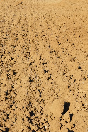 Background image of a plowed spring field  Agricultural field ready for sowing の写真素材