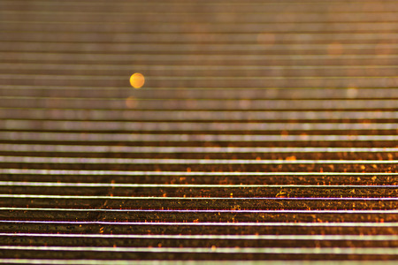 Abstract and Festive Background with Blurred Circles. Defocused Blurred Lights.