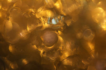 Abstract and festive background with golden yellow lights. De focused blurred lights.