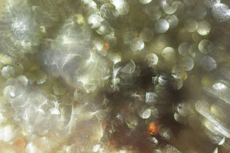 Abstract and decorative background with golden yellow lights. Extraterrestrial life concept.