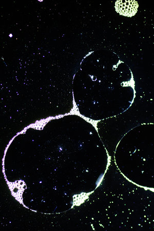 Abstract background with liquid and drops over a blurred backdrop, close up.