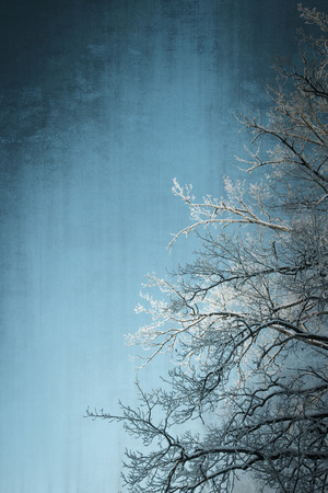 Grunge winter background with a vintage textureの写真素材