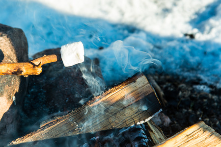 Roasted marshmallow on the bonfire in the forestの写真素材