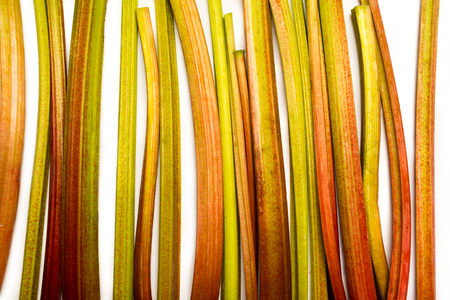 Fresh red and green rhubarb stalks backgroundの写真素材