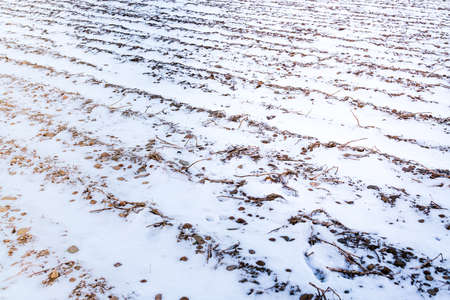 Winter snow scene with sunshine on arable farm landの写真素材