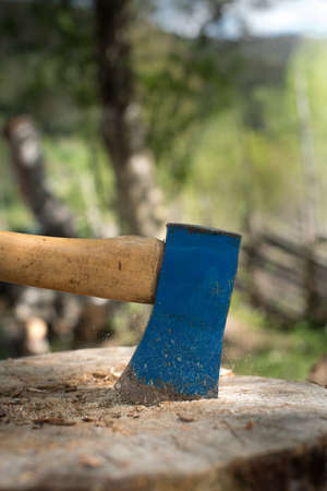 Old blue axe in top of a chopping block. Big birch logs around waitng to be chopped.の写真素材