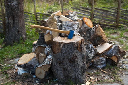 Old blue axe in top of a chopping block. Big birch logs around waitng to be chopped.