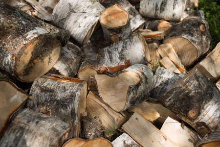 A pile of big birch logs waiting to be choppedの写真素材