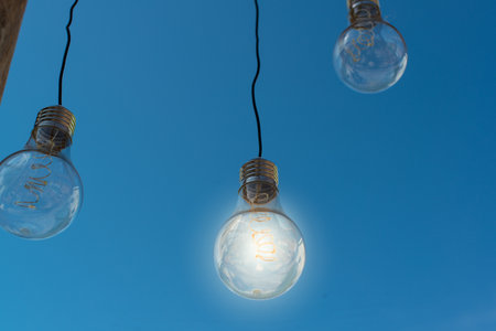 Three lightbulbs hanging outside in the evening or night. One of the lightbulbs are lit.