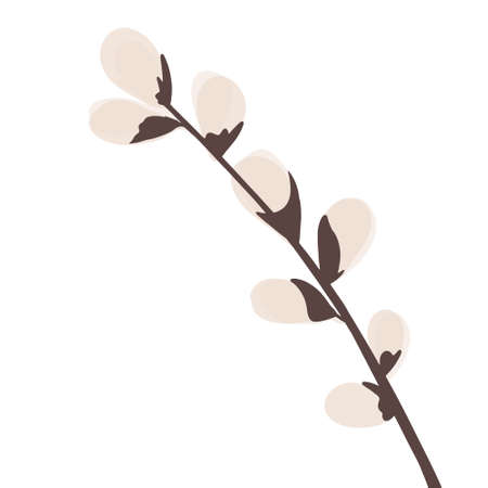 Willow branch at Easter time for greeting cards, posters, banners, flyers.のイラスト素材