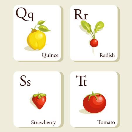 Fruits and vegetables  alphabet cards , illustration, part 5of 7のイラスト素材
