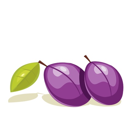 plum vectorのイラスト素材