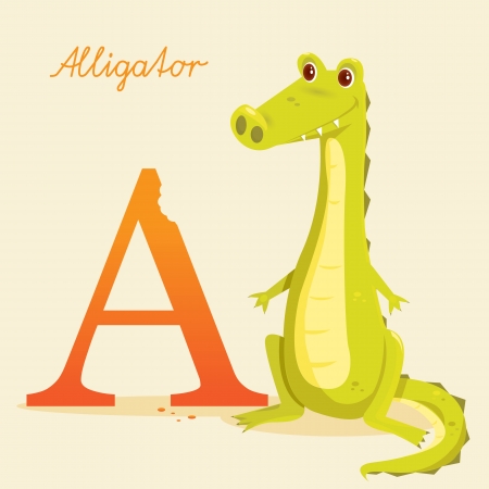Animal alphabet with alligator, vector illustrationのイラスト素材