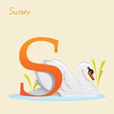 Animal alphabet with swan illustrationのイラスト素材