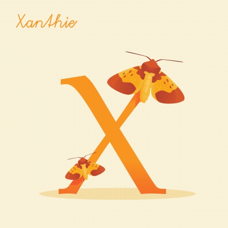 Animal alphabet with xanthie illustrationのイラスト素材
