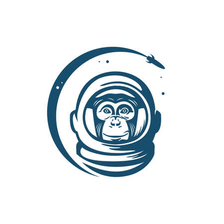 Space monkey, vector illustration on white backgroundのイラスト素材